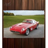 Металлическая табличка Ferrari 250 GT Berlinetta Tour de France 251